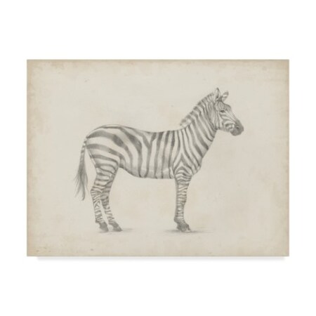 Trademark Fine Art Ethan Harper 'Zebra Sketch' Canvas Art, 14x19 WAG06557-C1419GG